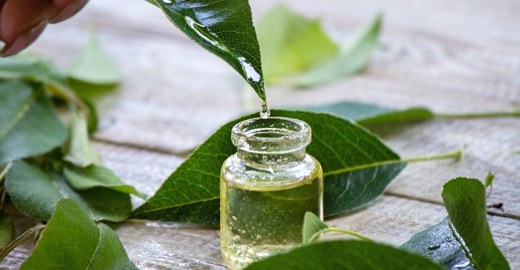 Acne Solutions 101: The Power of Salicylic Acid & Tea Tree Extract